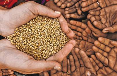 Прогноз: Мировой спрос на украинское зерно возрастет