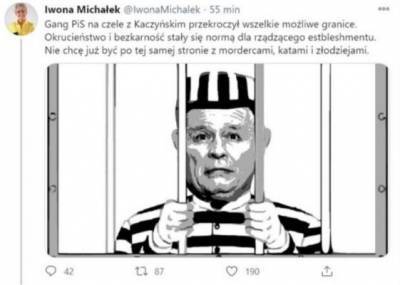 «Банда Качиньского правит Польшей»: взломан сайт влиятельной чиновницы