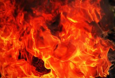 Следователи заинтересовались гибелью мужчины во время пожара в Выборге