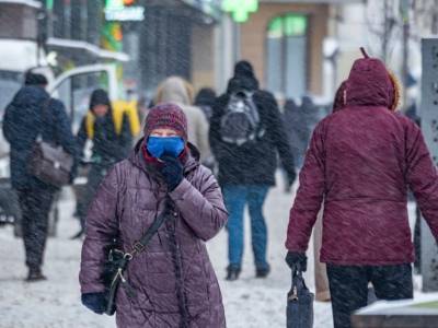 Вирусолог: РФ находится на зимнем плато по COVID-19, заболеваемость пока высокая