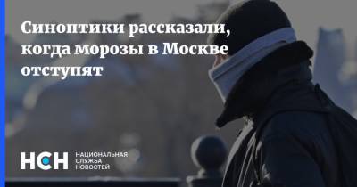 Синоптики рассказали, когда морозы в Москве отступят