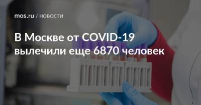 В Москве от COVID-19 вылечили еще 6870 человек