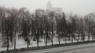 Мощный снегопад обрушился на Воронеж