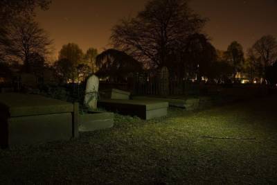 Автопилот Tesla показал силуэт человека на пустом кладбище