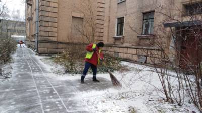 В Петербурге определили районы, где хуже всего убирали в новогодние праздники