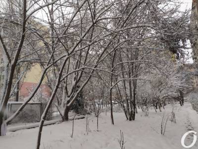 Зима в Одессе: как выглядит "спальный" район после первого снегопада 2021 года (фото, видео)