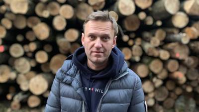 Судебное заседание по замене срока Навальному пройдет 29 января