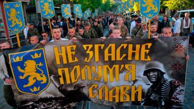 Украинские неонацисты пытаются преподавать в местных школах и в вузах Европы