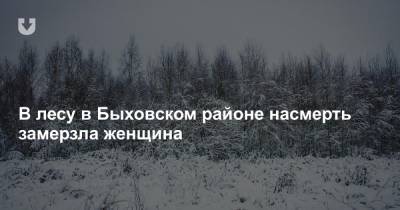 В лесу в Быховском районе насмерть замерзла женщина