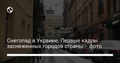 Снегопад в Украине. Первые кадры заснеженных городов страны – фото