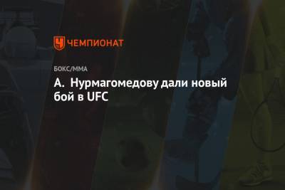 А. Нурмагомедову дали новый бой в UFC