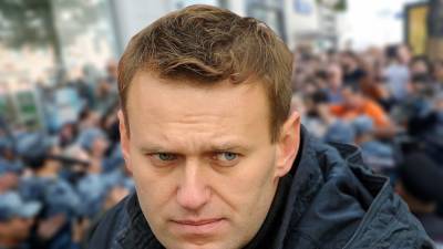 Суд возобновит работу по делу об оскорблении ветерана ВОВ блогером Навальным