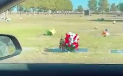 Видео: система автомобиля Tesla зафиксировала призрак на кладбище