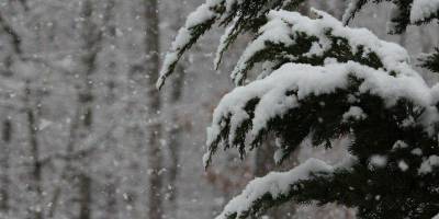 Прогноз погоды: завтра снегопады накроют западные и северные области Украины
