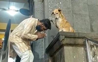 В Индии собака "благословляет" посетителей храма