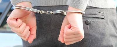 В Башкирии задержали 14 членов запрещенной организации «Башкорт»