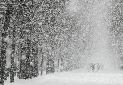 Ульяновскую область завалит снегом