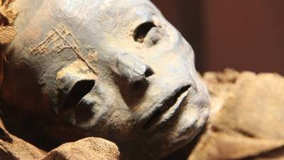 Жители Рязани нашли мумифицированный труп в полиэтиленовом пакете
