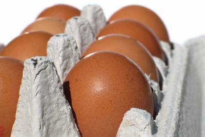 Минсельхоз назвал причины подскочивших цен на яйца