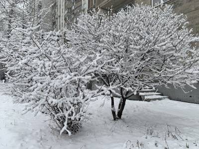 В МЧС предупредили москвичей о сильном снегопаде и гололедице
