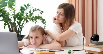 "Вы – не пряник": как пережить родителям дистанционку детей — важные советы психолога