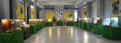 В зале галереи Ващенко открылась выставка "Пауки гиганты"