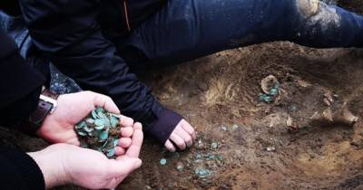 "Самый крупный клад позднего Средневековья": в Венгрии нашли 7 тысяч редких монет (фото)
