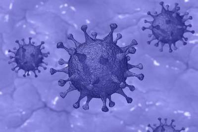 Гинцбург назвал фактор, ведущий к появлению мутаций коронавируса