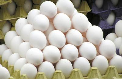 Прогноз: Яйца могут подорожать до 40 грн