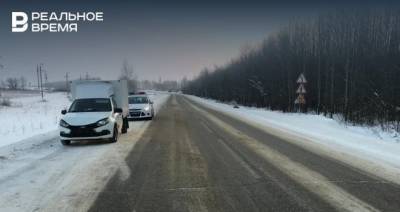 В Татарстане косуля погибла под колесами автомобиля