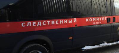 На комбинате в Карелии погиб 19-летний сотрудник