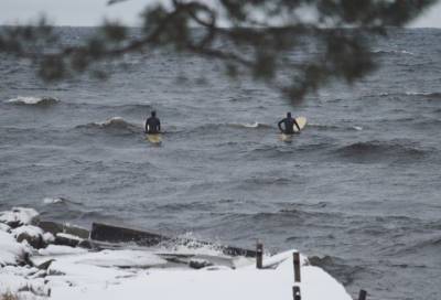 Мороз и серфинг: Петербуржцы устроили экстрим на волнах Финского залива и Ладоги