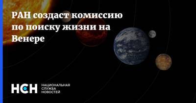 РАН создаст комиссию по поиску жизни на Венере