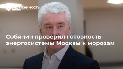 Собянин проверил готовность энергосистемы Москвы к морозам