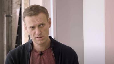 Илья Ремесло назвал Навального фейковым юристом