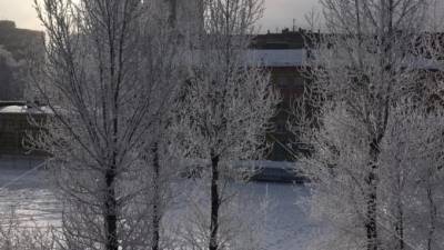 В ближайшие три дня ночью в Ленобласти ожидается до -31 градуса