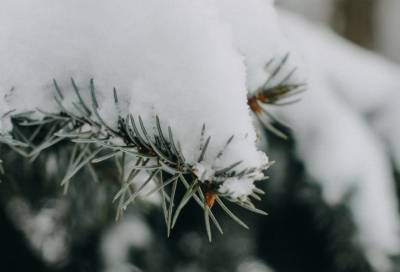 В Ленобласти 14 января обещают снег и до -31 градуса