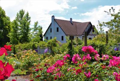 За год в Ленобласти ввели более 10 тысяч частных и садовых домов