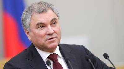 Председатель Госдумы назвал работу парламентских фракций эффективной