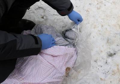 Труп, найденный во дворе дома в Рязани, превратился в мумию
