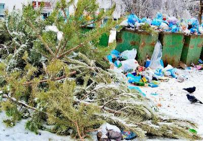 После праздника: куда смолянам выбросить новогодние елки