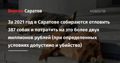 За 2021 год в Саратове собираются отловить 387 собак и потратить на это более двух миллионов рублей (при определенных условиях допустимо и убийство)
