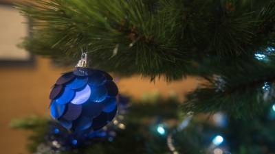 Время выбрасывать елку: как правильно избавиться от новогоднего дерева