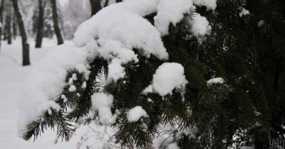 Старый Новый год будет с морозами и снегом: прогноз погоды в Украине на четверг, 14 января