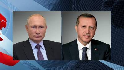 Президенты России и Турции обсудили по телефону планы по совместному производству вакцин