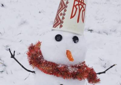 Настоящая зима: украинцы в соцсетях делятся удивительными фото