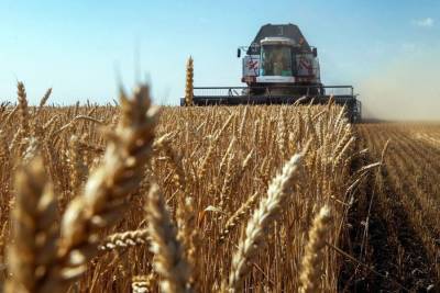 Минсельхоз предлагает повысить экспортную пошлину на пшеницу