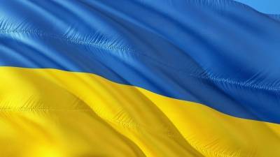 Киевский журналист назвал действующее руководство Украины инфантильным
