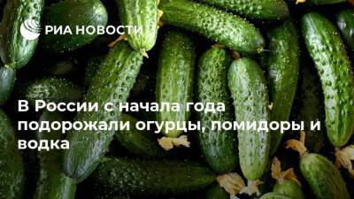 В России с начала года подорожали огурцы, помидоры и водка