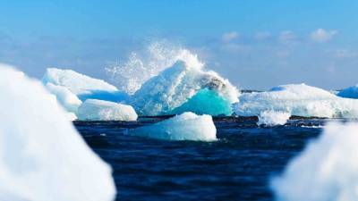 Канадские специалисты сделали открытие о происхождении мусора в Арктике